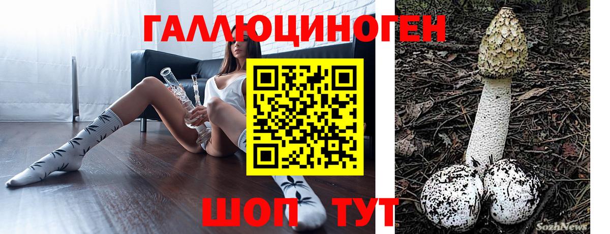 Псилоцибиновые грибы GOLDEN TEACHER  Вход с VPN  хочу наркоту  Коломна 